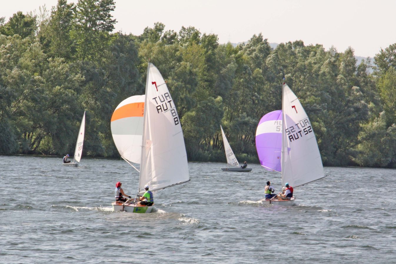 Stege des SAF im Herbst mit aufgebauten Segelbooten