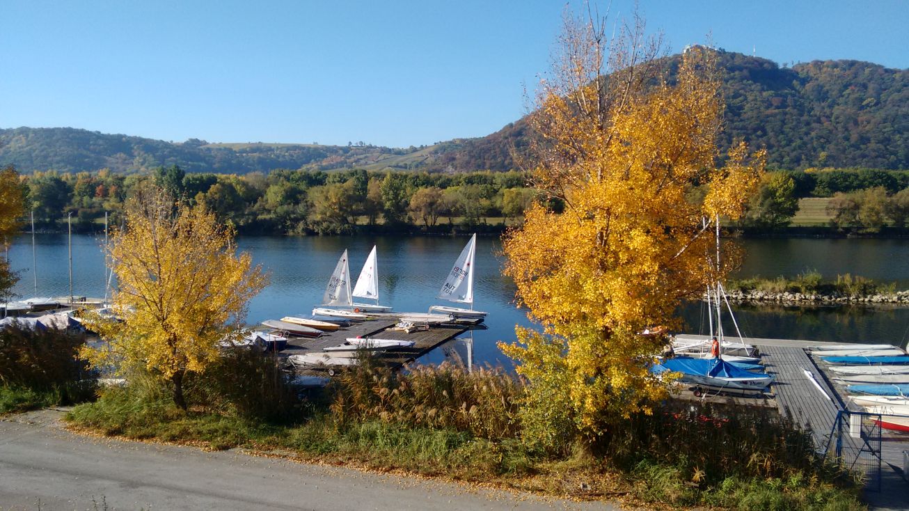 Stege des SAF im Herbst mit aufgebauten Segelbooten
