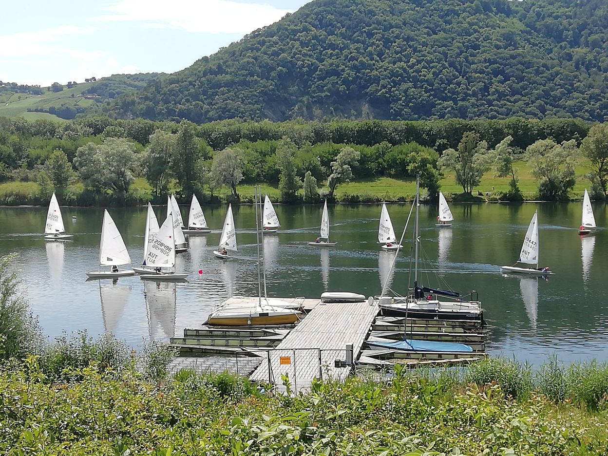 22 Laser-Segler auf der Neuen Donau, vom Damm aus gesehen