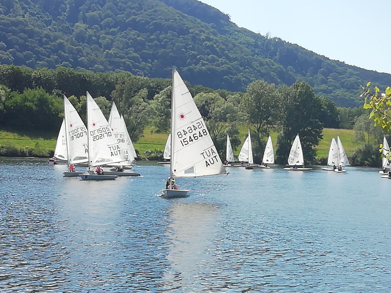 Laser Standard und Radial-Segler auf der Neuen Donau