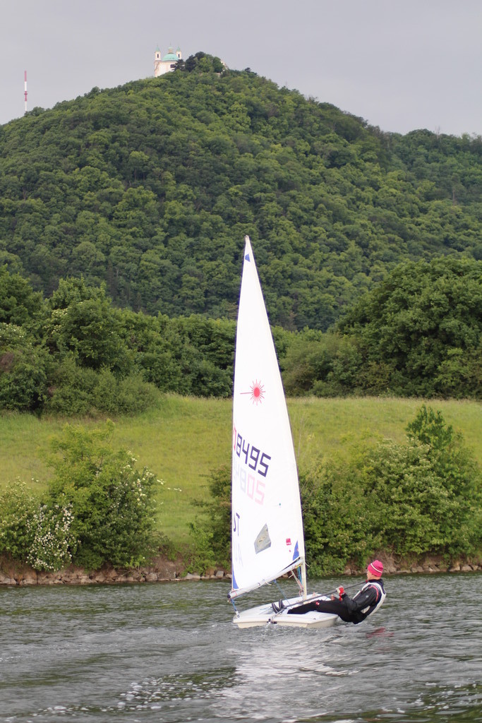 Segler; im Hintergrund der Kahlenberg