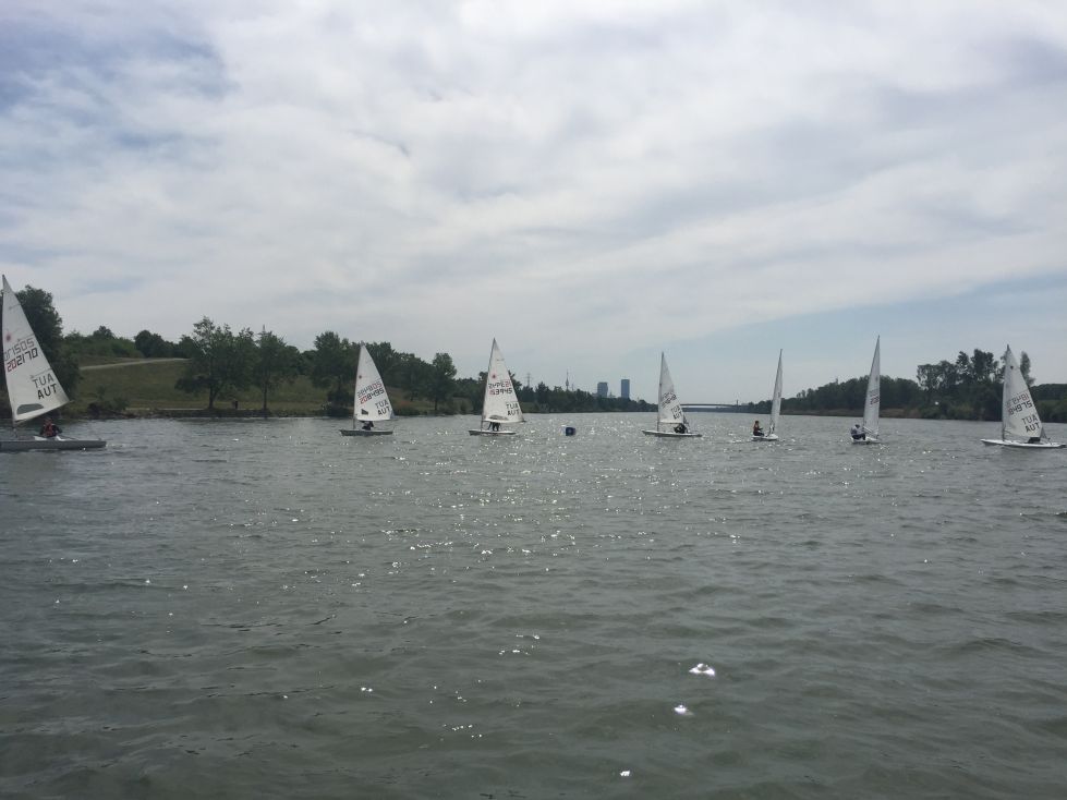Gruppe Laser-Segler auf der neuen Donau