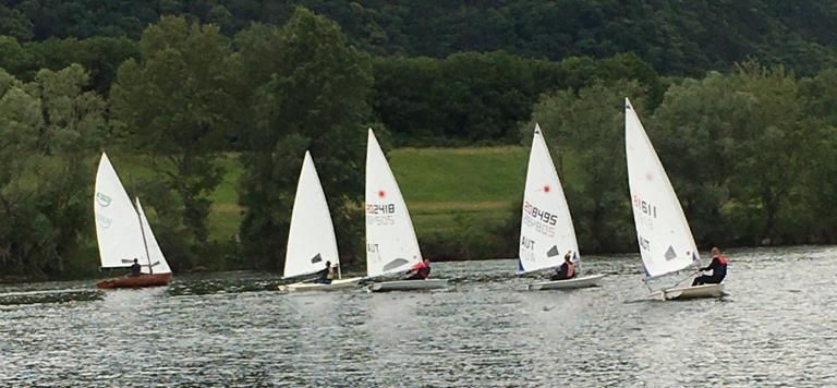 Laser-Segler auf der Neuen Donau