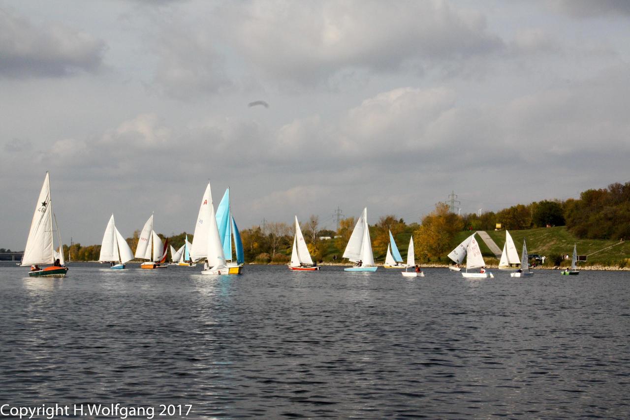 viele Segelboote